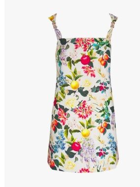 Sachin + Babi Regazza White Floral Mini Dress with Multicolor Fruit Print